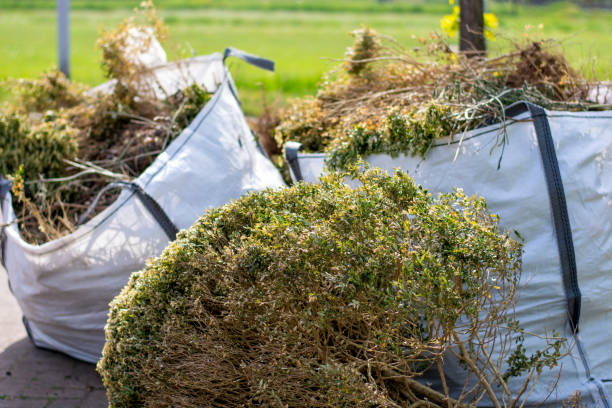 Best Dumpster Rental Services  in Marion, AL